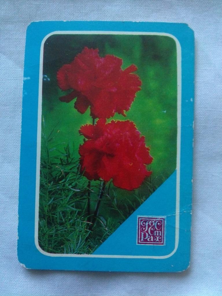 Карманный календарик : Цветы 1983 г. ( Флора , растения )