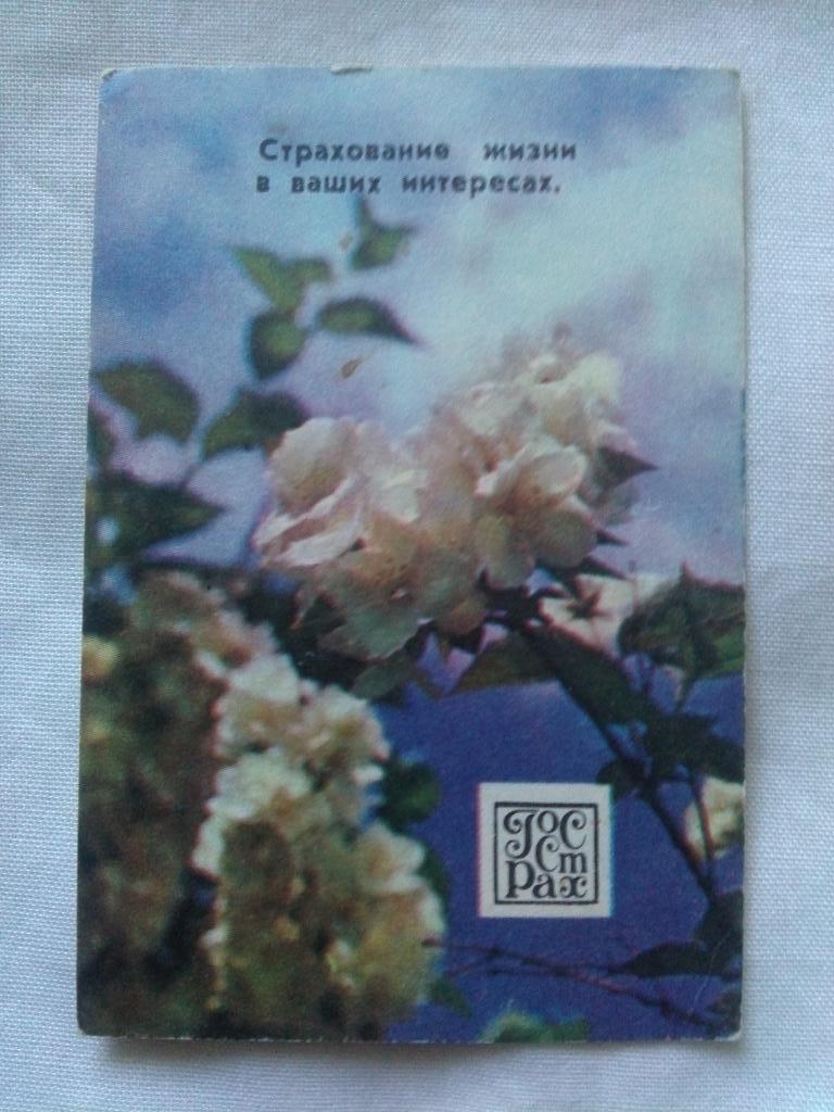 Карманный календарик : Цветы 1980 г. ( флора , растения )