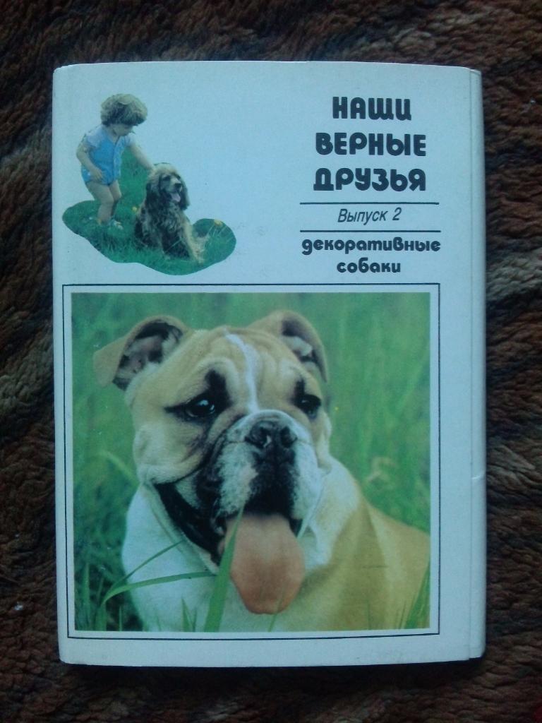 Наши верные друзья - Декоративные собаки 1991 г. полный набор - 20 открыток
