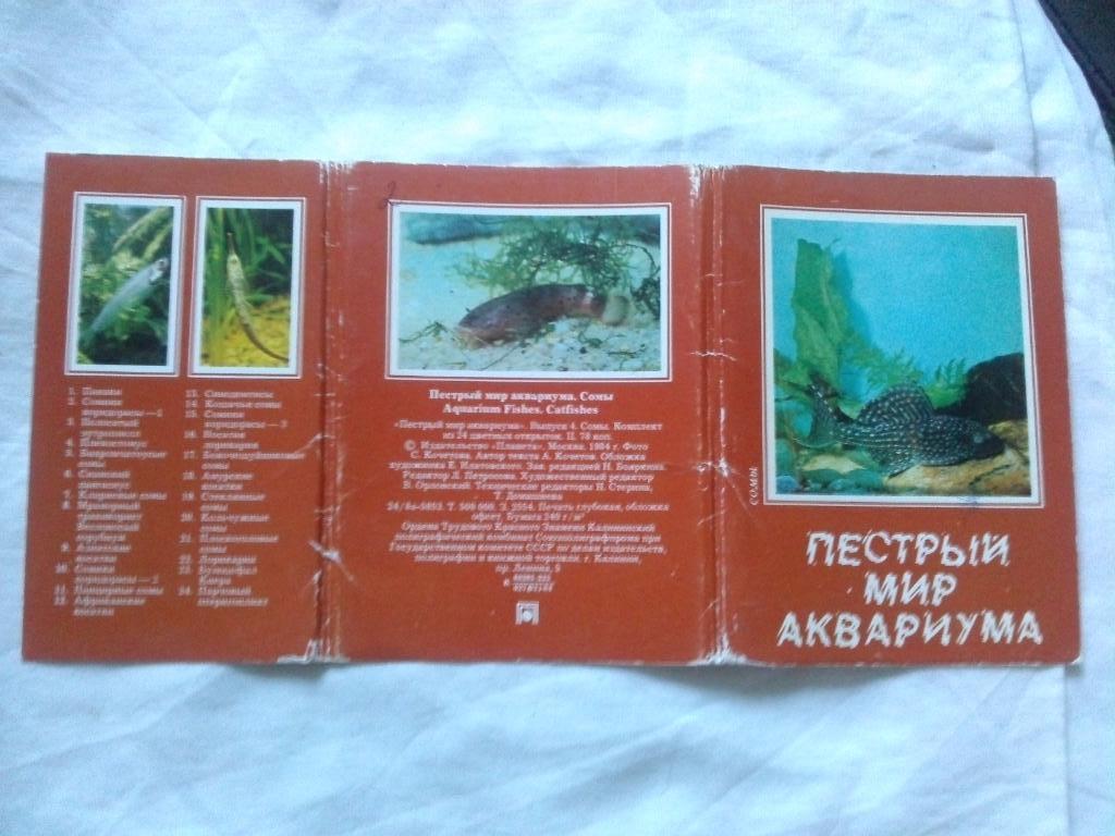 Пестрый мир аквариума 1984 г. полный набор - 24 открыток (Аквариумные рыбки) Сом 1