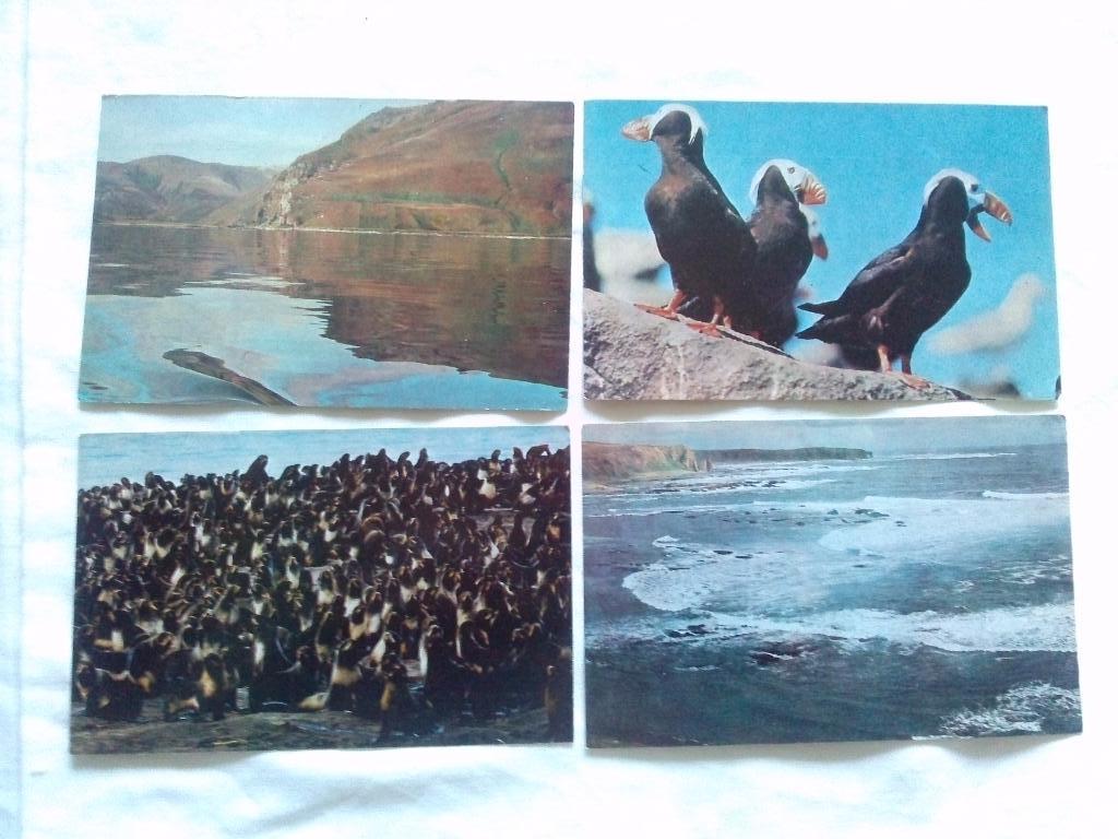 Командорские острова 1981 г. полный набор - 16 открыток (чистые) Флора Фауна 2