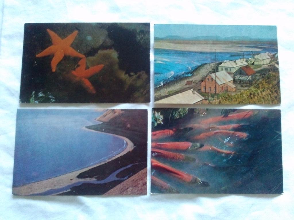 Командорские острова 1981 г. полный набор - 16 открыток (чистые) Флора Фауна 3