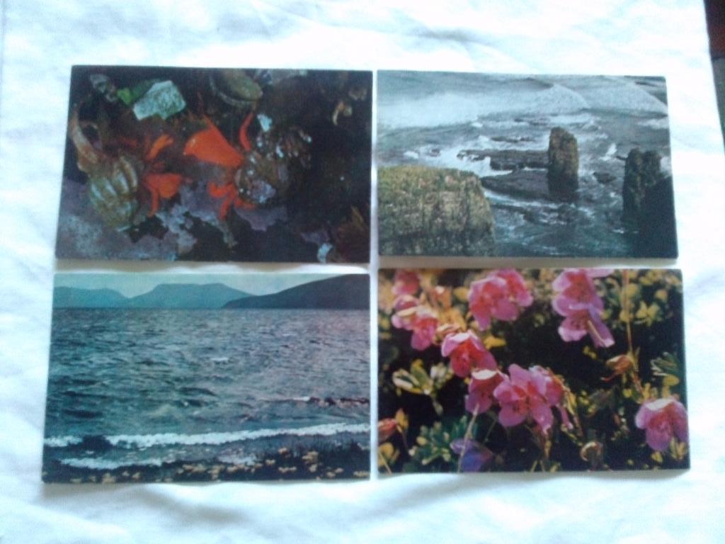 Командорские острова 1981 г. полный набор - 16 открыток (чистые) Флора Фауна 4