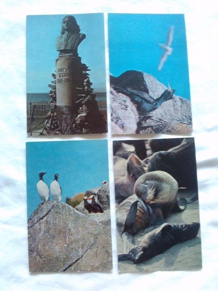 Командорские острова 1981 г. полный набор - 16 открыток (чистые) Флора Фауна 5