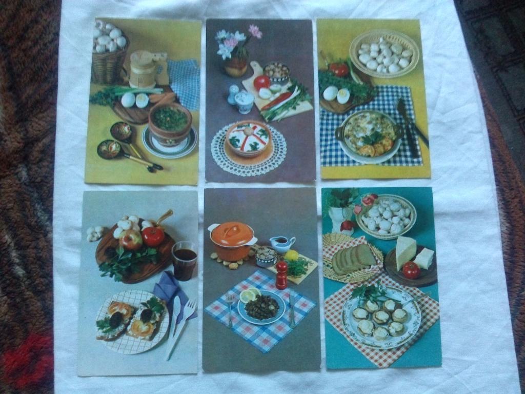 Советы хозяйкам 1985 г. полный набор - 15 открыток (блюда из шампиньонов) 4