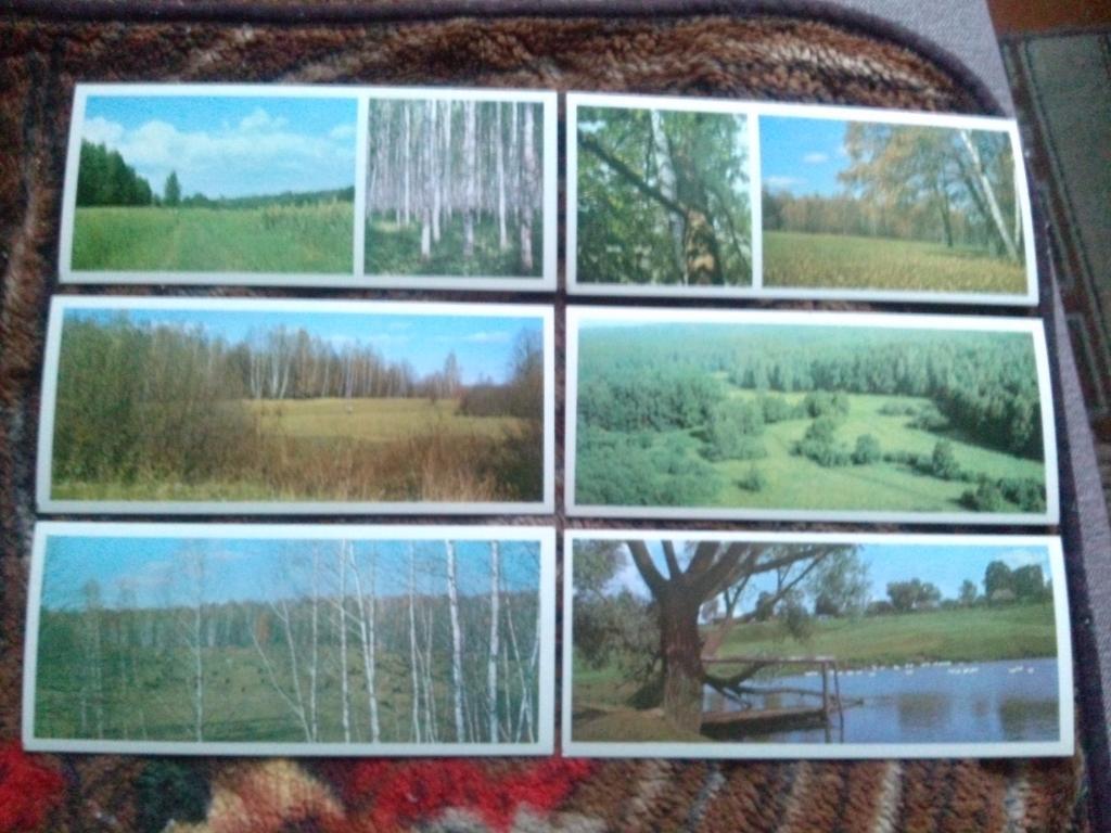 Музей-усадьба Л.Н. Толстого Ясная поляна 1978 г. полный набор - 24 открытки 4
