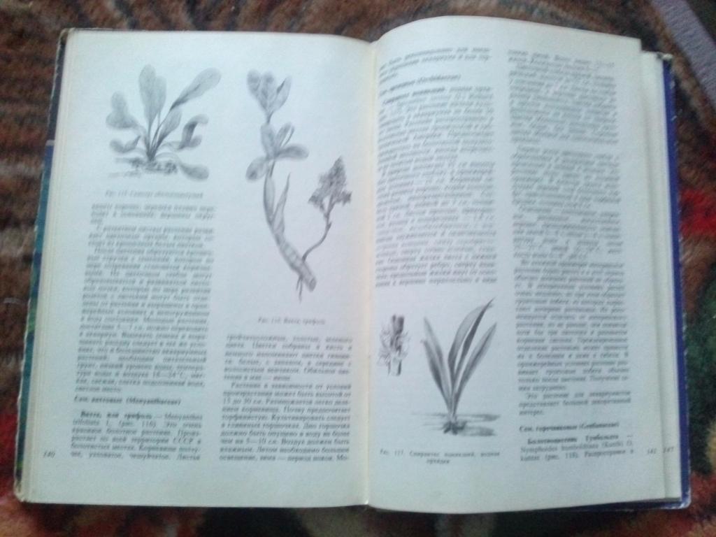 В.С. Жданов - Аквариумные растения 1973 г. ( Аквариум ) 2