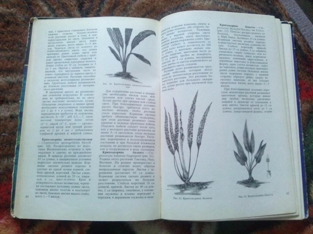 В.С. Жданов - Аквариумные растения 1973 г. ( Аквариум ) 4