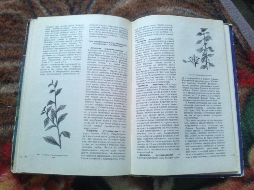В.С. Жданов - Аквариумные растения 1973 г. ( Аквариум ) 6