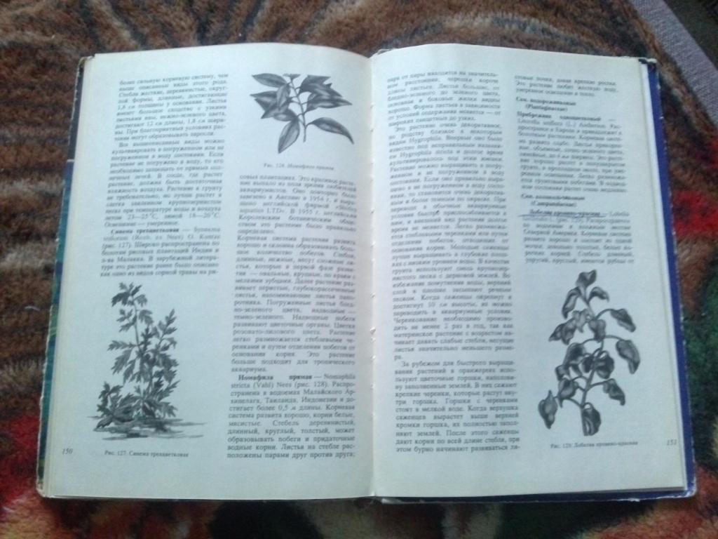 В.С. Жданов - Аквариумные растения 1973 г. ( Аквариум ) 7