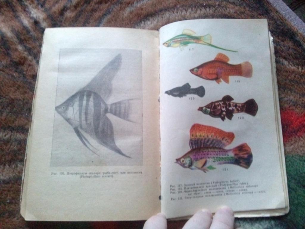 Комнатный аквариум ( 1965 г. ) Аквариумные рыбки Аквариумистика 3