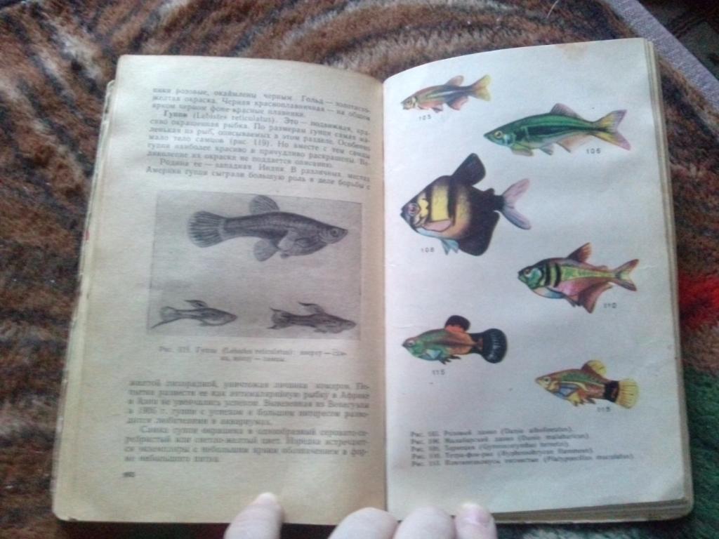 Комнатный аквариум ( 1965 г. ) Аквариумные рыбки Аквариумистика 4