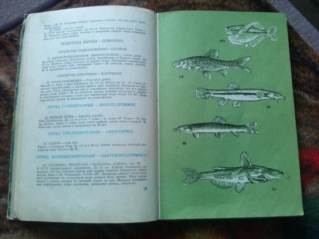 А.С. Полонский -Аквариумные рыбы1974 г. (Аквариум , аквариумистика) 4