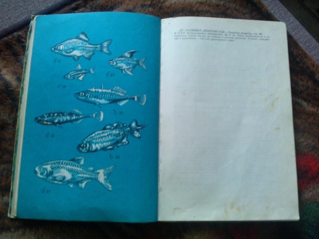 А.С. Полонский -Аквариумные рыбы1974 г. (Аквариум , аквариумистика) 5
