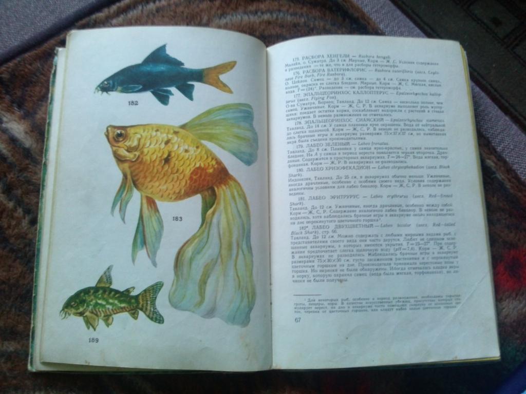 А.С. Полонский -Аквариумные рыбы1974 г. (Аквариум , аквариумистика) 7
