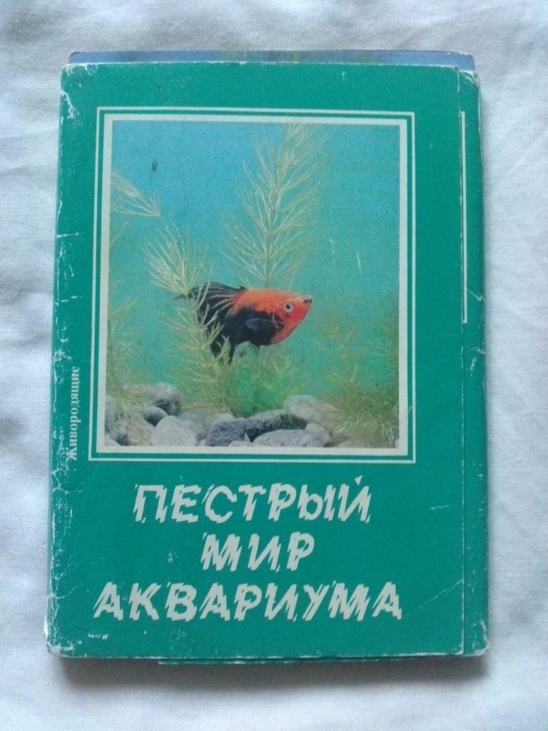 Пестрый мир аквариума 1989 г. полный набор - 22 открытки (Аквариумные рыбки)