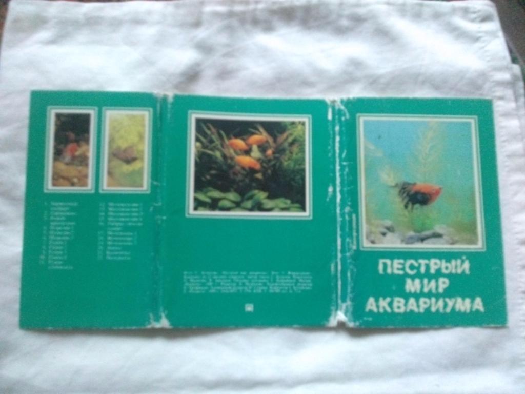 Пестрый мир аквариума 1989 г. полный набор - 22 открытки (Аквариумные рыбки) 1