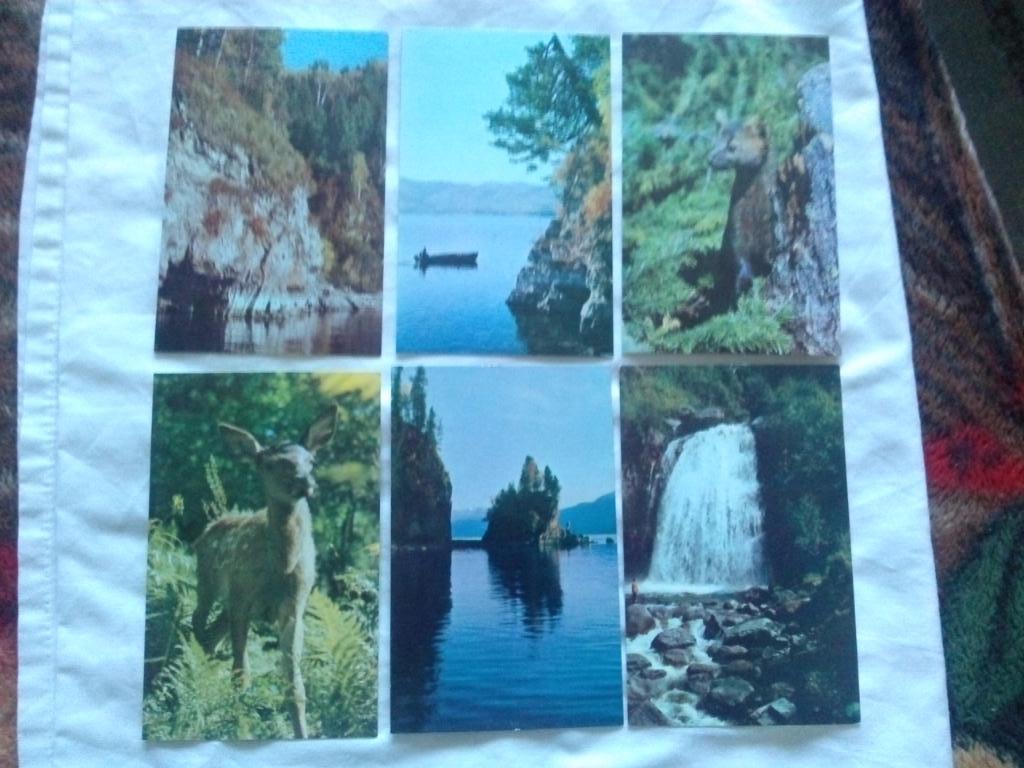 Телецкое озеро Алтайский заповедник 1972 г. полный набор - 24 открытки (чистые) 5