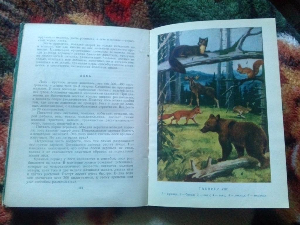 И.Андреев - Жизнь птиц и зверей Карелии 1962 г. (Фауна , птицы) Редкое издание 5