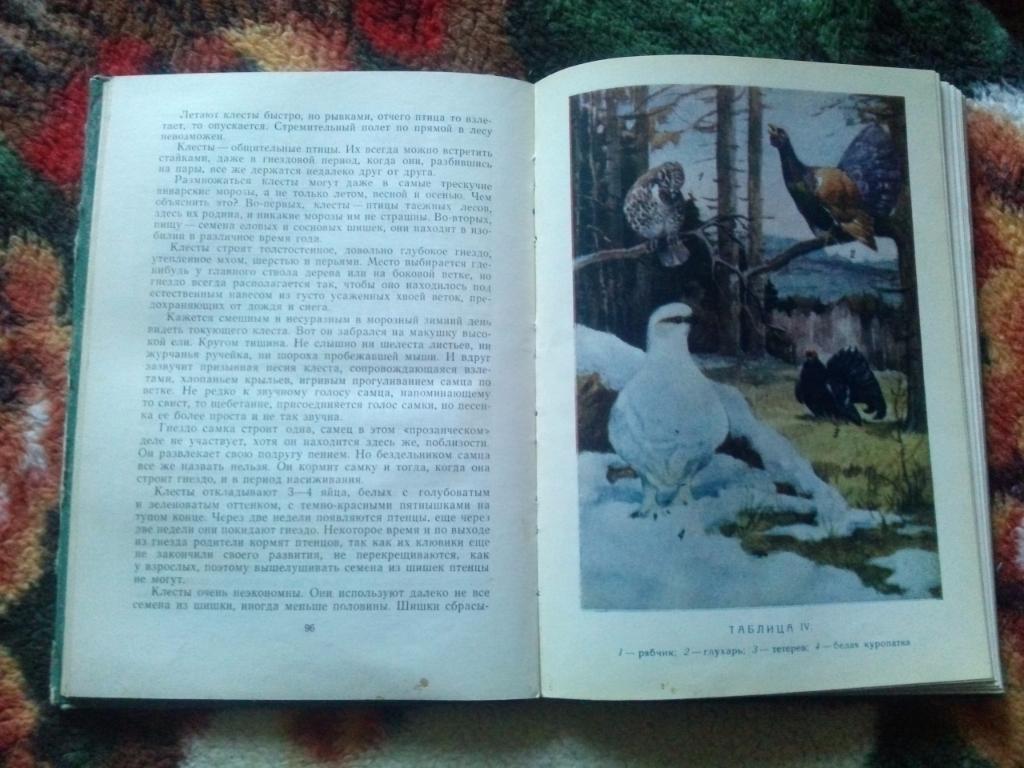 И.Андреев - Жизнь птиц и зверей Карелии 1962 г. (Фауна , птицы) Редкое издание 7