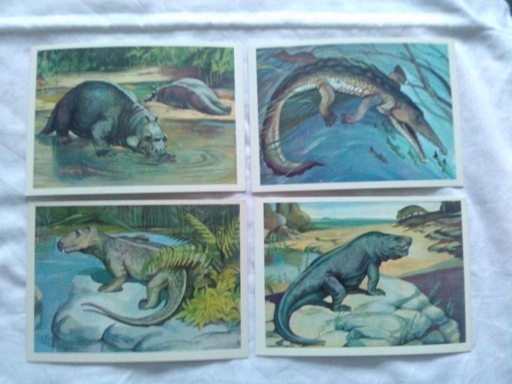 Из глубины веков 1979 г. полный набор - 16 открыток (Динозавры , фауна) 3