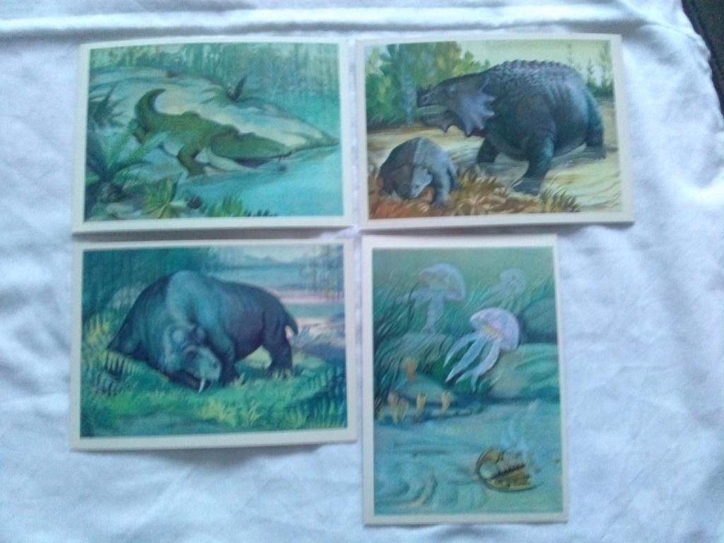 Из глубины веков 1979 г. полный набор - 16 открыток (Динозавры , фауна) 4
