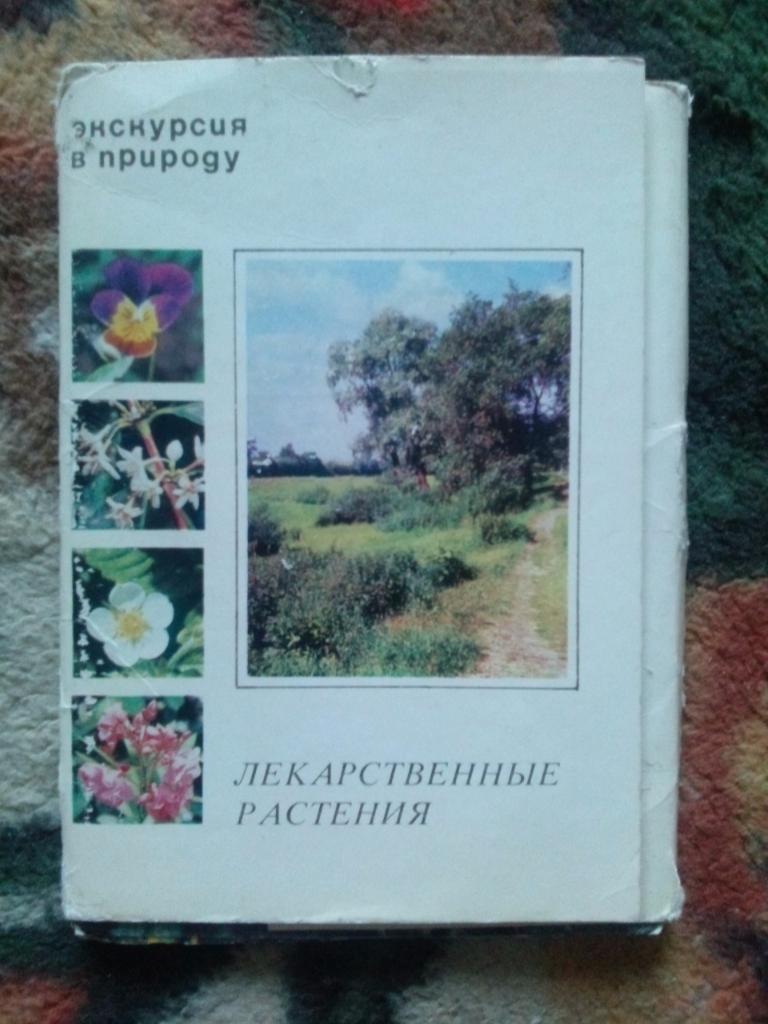 Лекарственные растения 1977 г. полный набор - 25 открыток (чистые) Флора