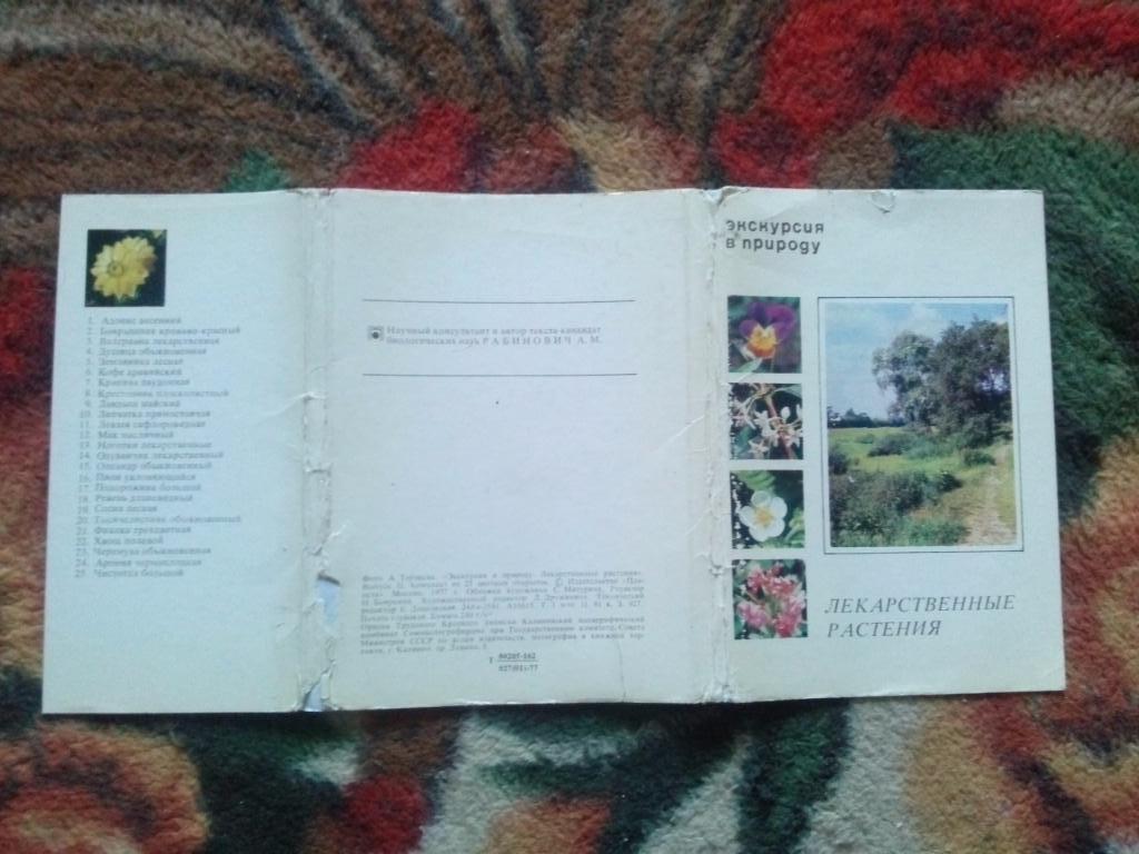 Лекарственные растения 1977 г. полный набор - 25 открыток (чистые) Флора 1