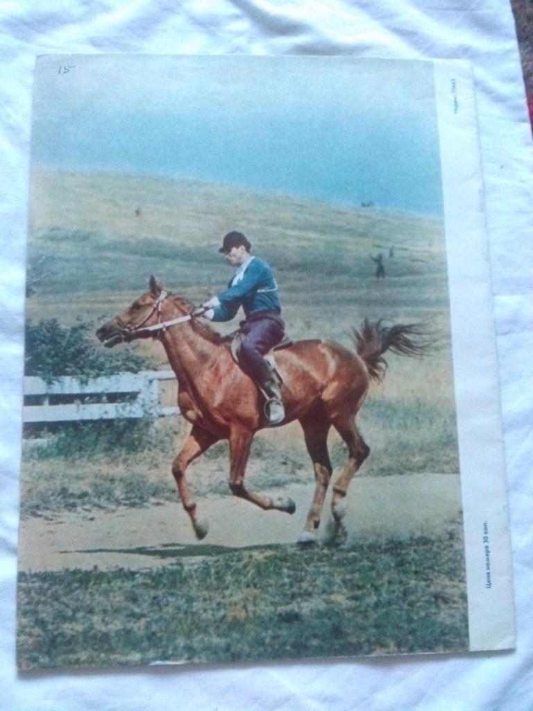 Журнал СССР :Огонек№ 41 (октябрь) 1964 г. Олимпиада в Токио , лошади 1