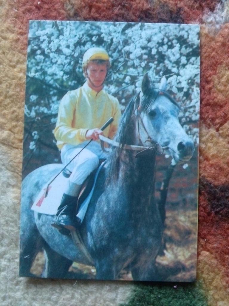 Карманный календарик : Конный спорт 1989 г. (лошади , конь , всадник)