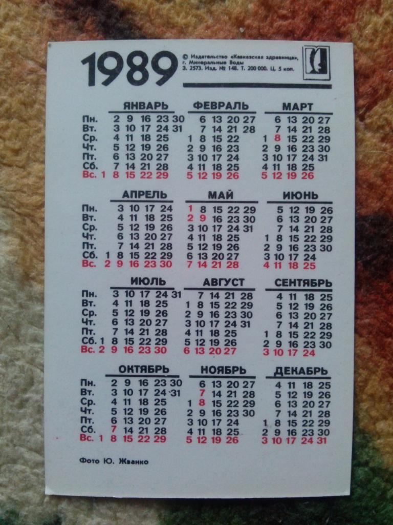 Карманный календарик : Конный спорт 1989 г. (лошади , конь , всадник) 1
