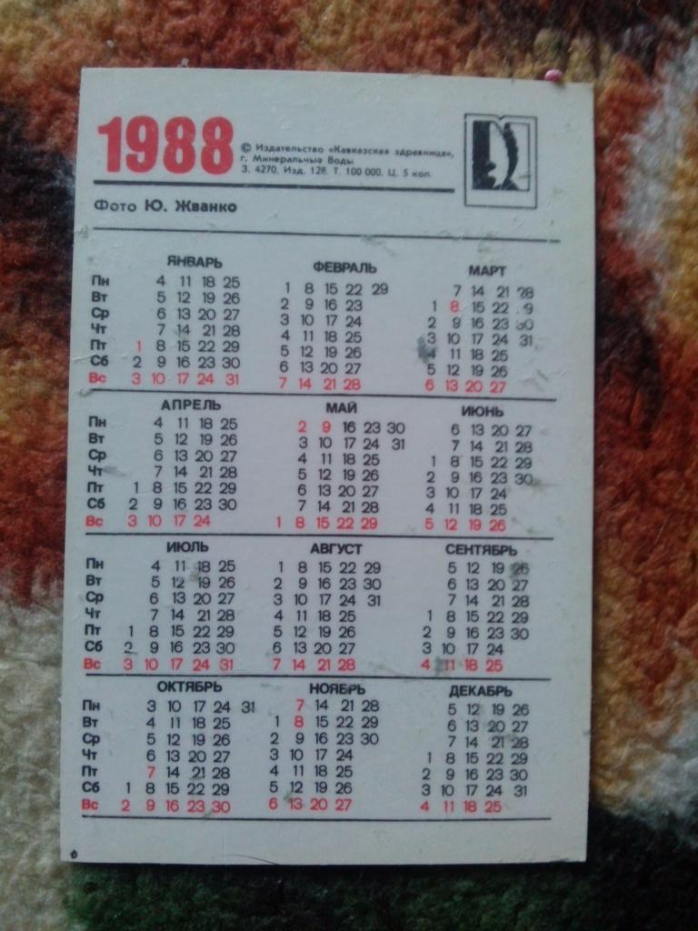 Карманный календарик : Конный спорт 1988 г. ( Лошадь , конь , всадник ) 1