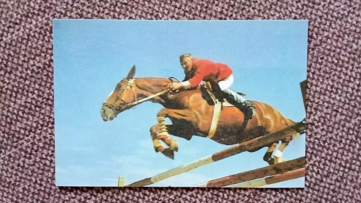 Карманный календарик : Конный спорт 1988 г. ( Лошадь , конь , всадник )