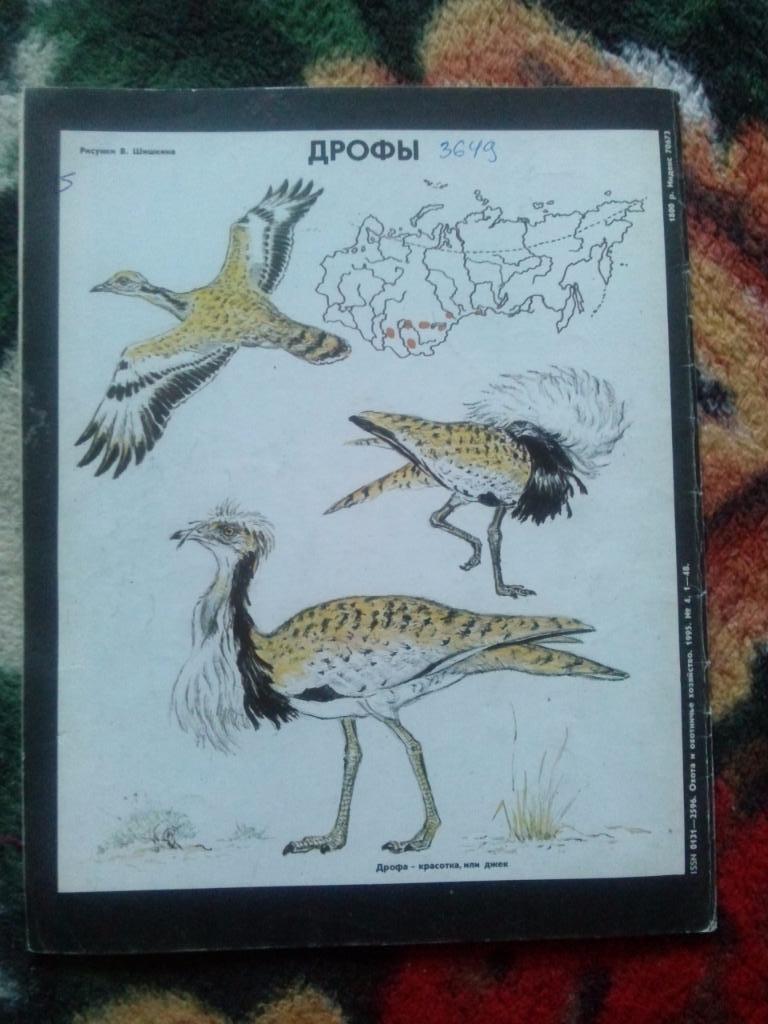 Журнал Охота и охотничье хозяйство № 4 (апрель) 1995 г. (Охотник , спорт) 1