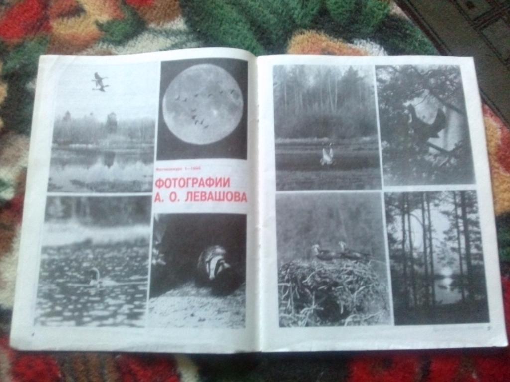 Журнал Охота и охотничье хозяйство № 12 (декабрь) 1995 г. (Охотник , спорт) 7