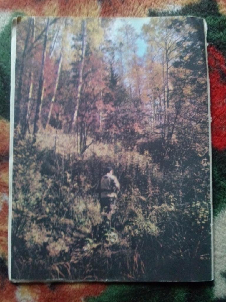 Журнал Охота и охотничье хозяйство № 10 (октябрь) 1984 г. (Охотник) 1