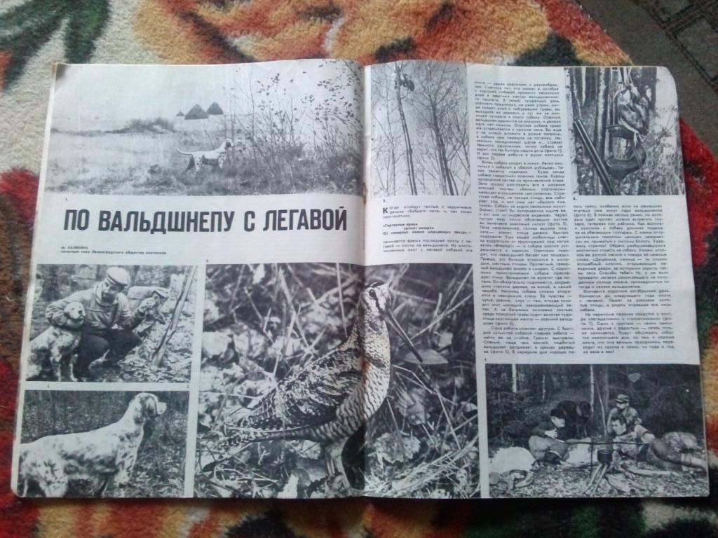 Журнал Охота и охотничье хозяйство № 10 (октябрь) 1984 г. (Охотник) 5