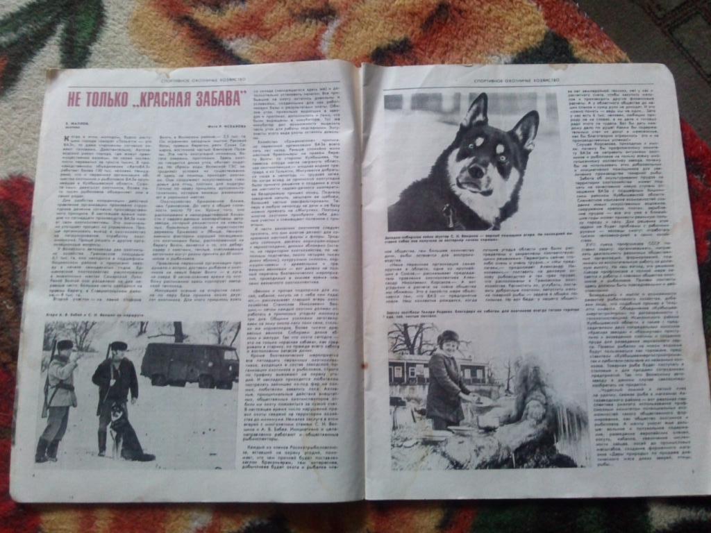 Журнал Охота и охотничье хозяйство № 10 (октябрь) 1984 г. (Охотник) 7