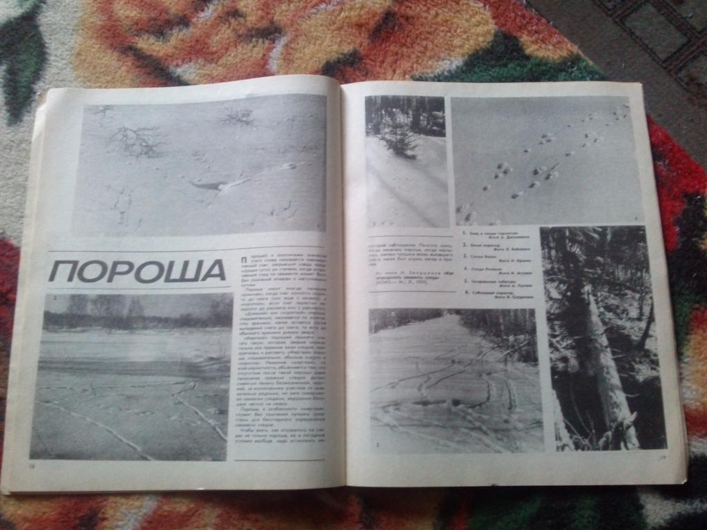 Журнал Охота и охотничье хозяйство № 3 (март) 1991 г. ( Охотник ) 4