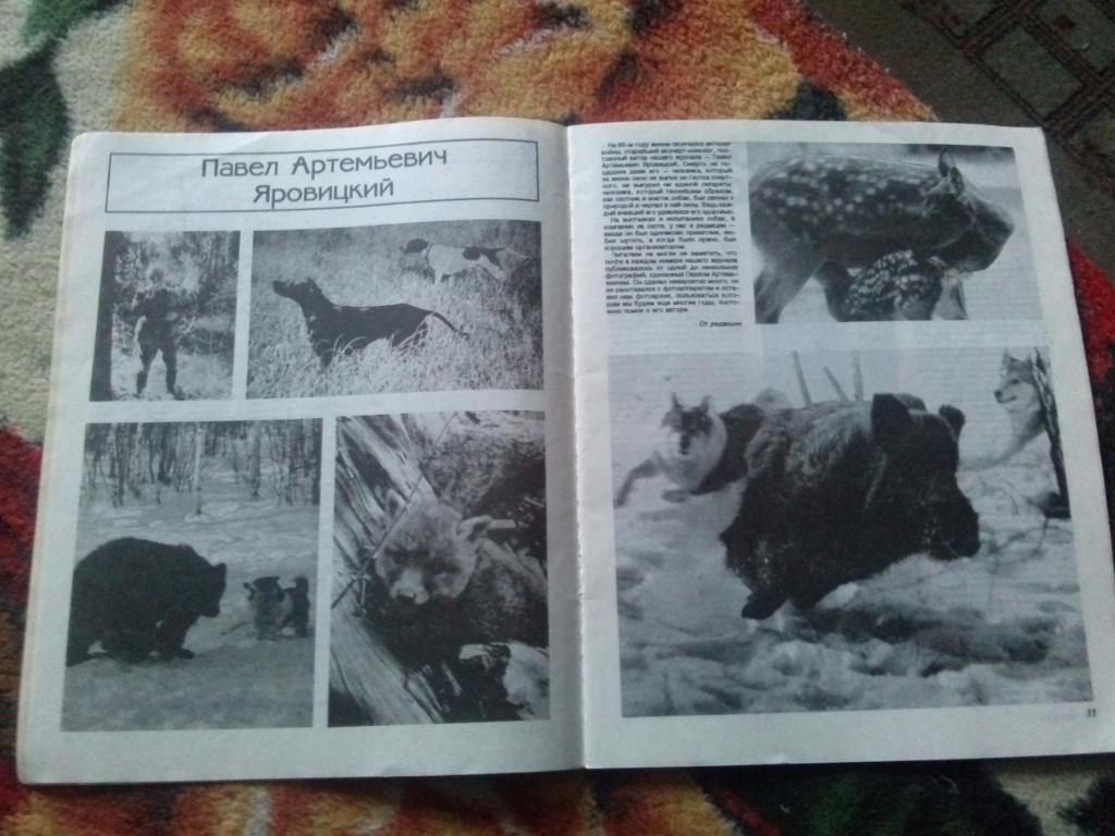 Журнал Охота и охотничье хозяйство № 8 ( август ) 1995 г. ( Охотник ) 6