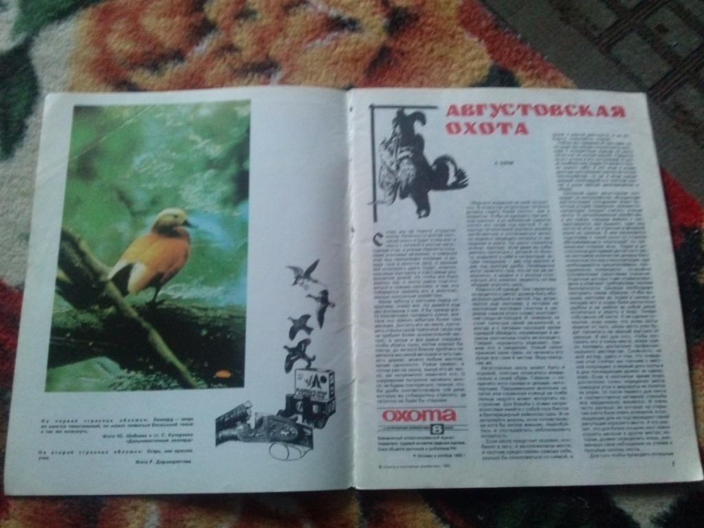 Журнал Охота и охотничье хозяйство № 8 ( август ) 1995 г. ( Охотник ) 7
