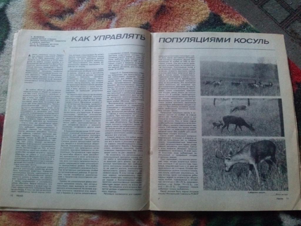 Журнал Охота и охотничье хозяйство № 2 (февраль) 1991 г. ( Охотник ) 5