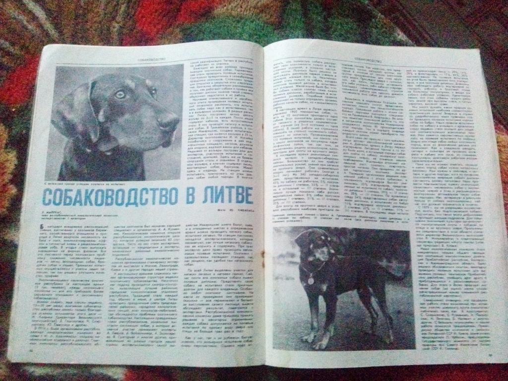 Журнал Охота и охотничье хозяйство № 10 ( октябрь ) 1982 г. ( Охотник ) 5