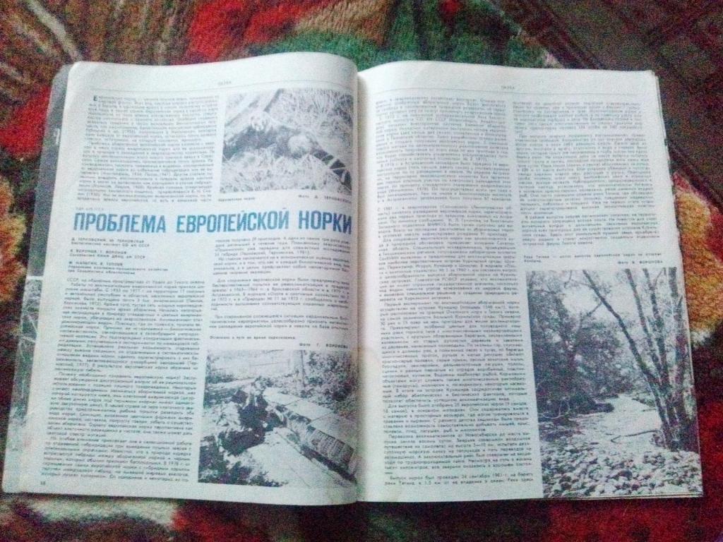 Журнал Охота и охотничье хозяйство № 10 ( октябрь ) 1982 г. ( Охотник ) 7