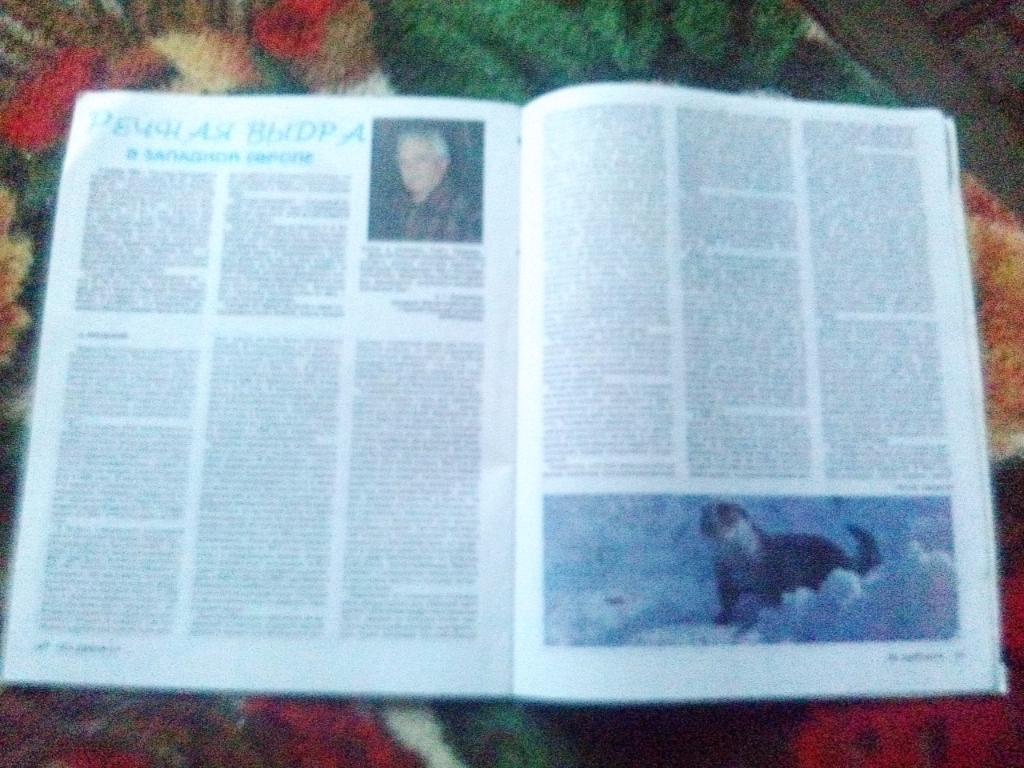 Журнал Охота и охотничье хозяйство № 3 ( март ) 2000 г. ( Охотник ) 3