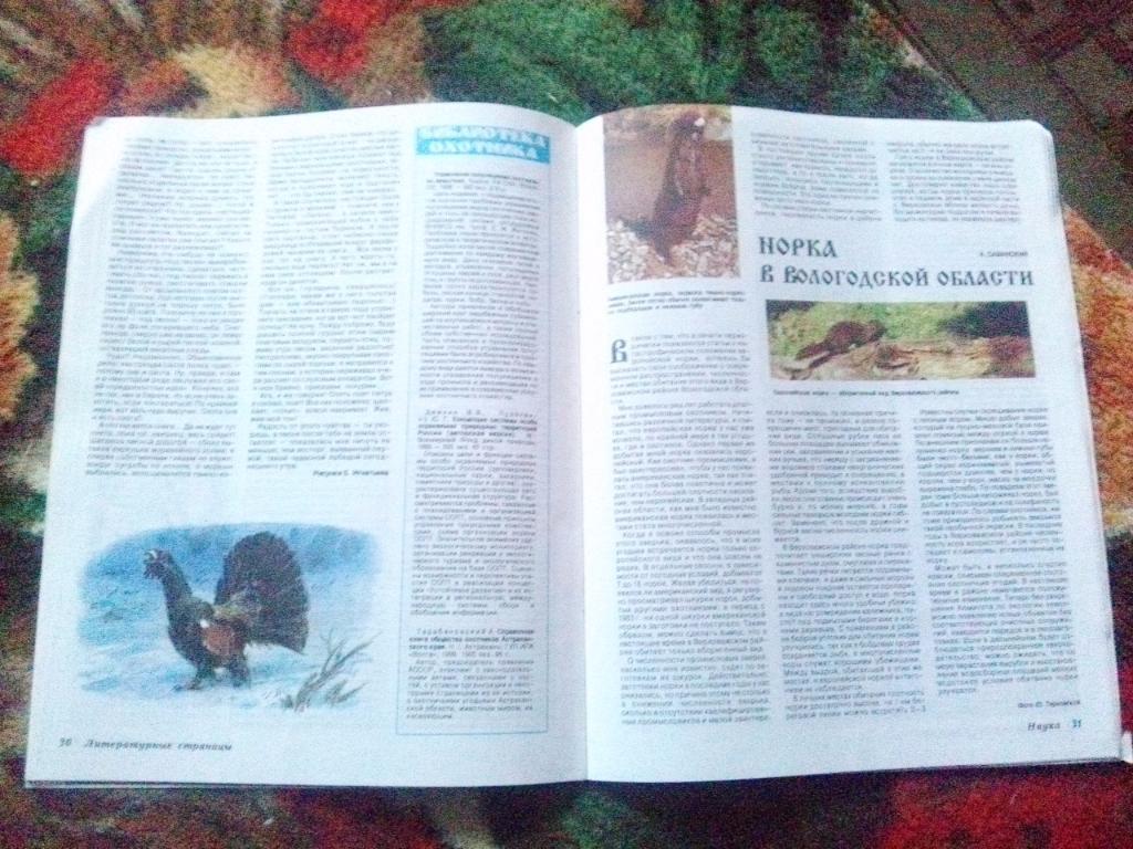 Журнал Охота и охотничье хозяйство № 3 ( март ) 2000 г. ( Охотник ) 5