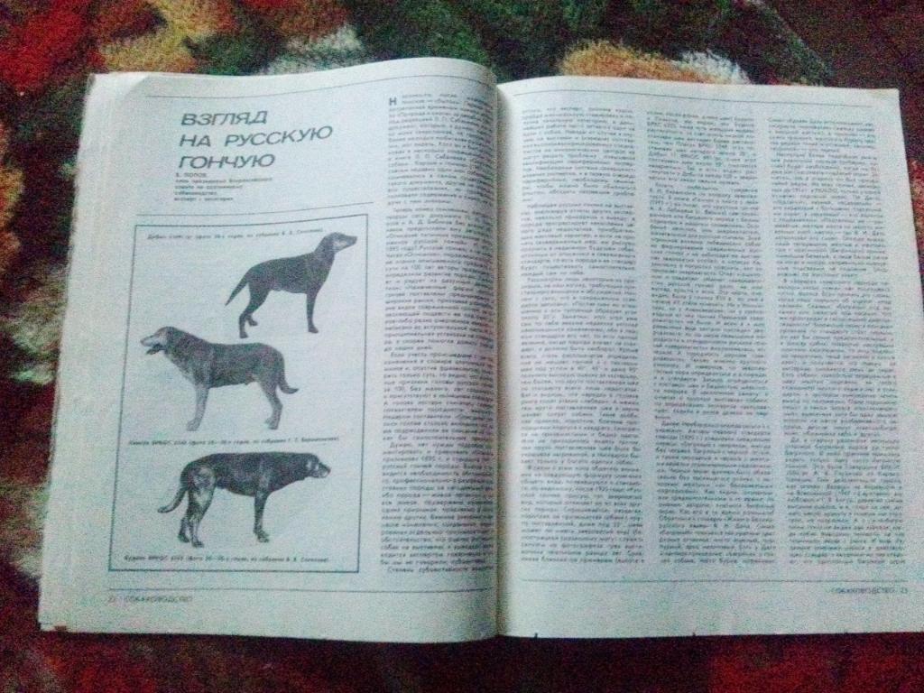 Журнал Охота и охотничье хозяйство № 6 ( июнь ) 1991 г. ( Охотник ) 6