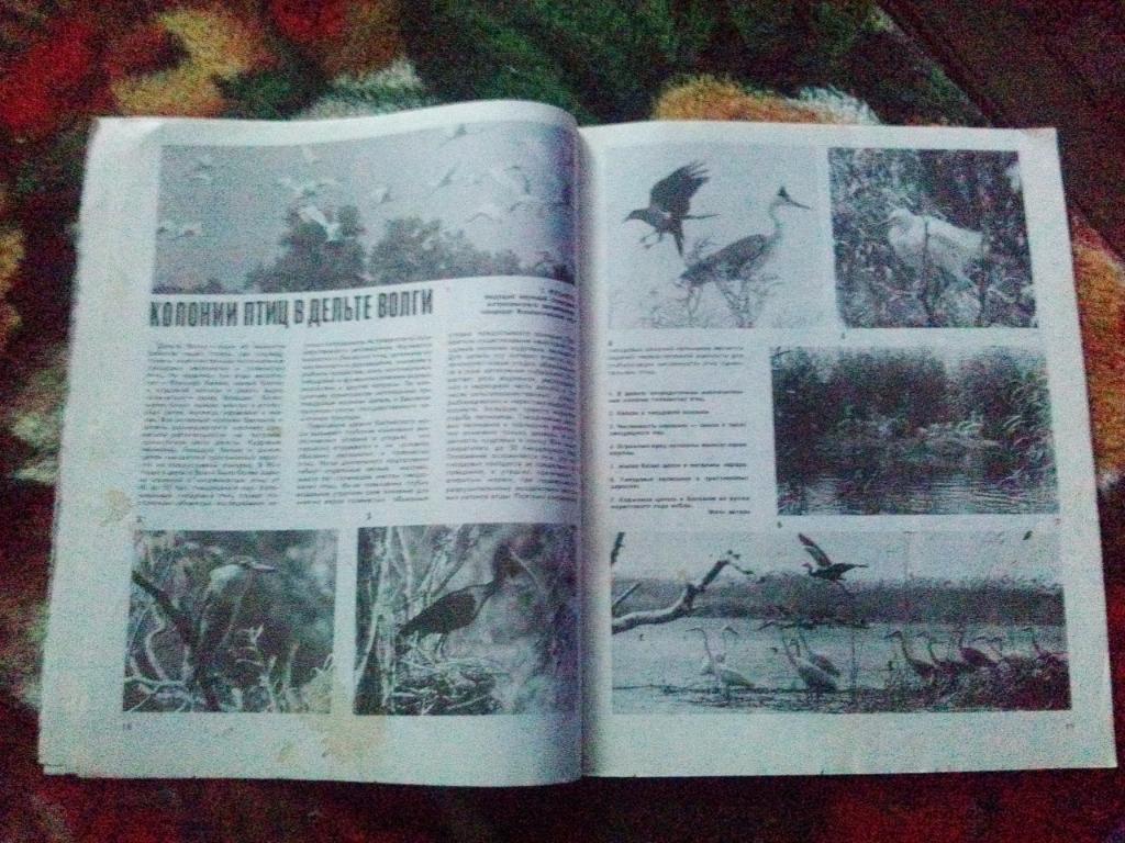 Журнал Охота и охотничье хозяйство № 6 ( июнь ) 1991 г. ( Охотник ) 7