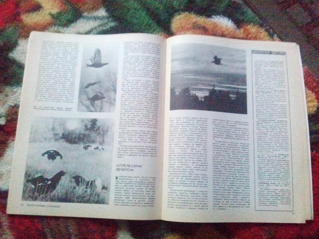 Журнал Охота и охотничье хозяйство № 3 ( март ) 1990 г. ( Охотник ) 4