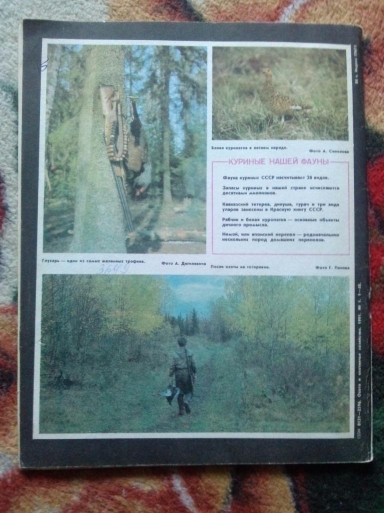 Журнал Охота и охотничье хозяйство № 1 ( январь ) 1991 г. ( Охотник ) 1